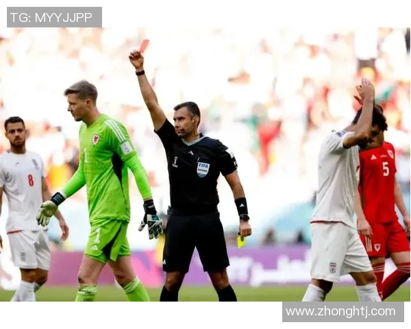 足球巨星红牌背后裁判揭秘 谁是他们的判官